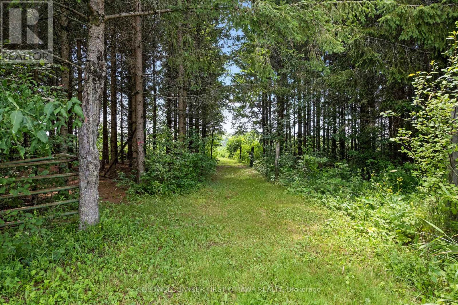 4655 Appleton Side Road — photo 42