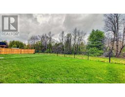 250 Chippewa Avenue, Shelburne, ON L9V3Y3 Photo 46