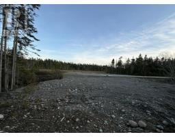 13 Pine Avenue thumbnail 7