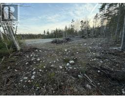 13 Pine Avenue thumbnail 9