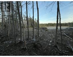 13 Pine Avenue thumbnail 8