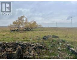 Lot 17 South Shore Road, Loyalist, ON K0H2S0 Photo 17