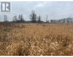 Lot 17 South Shore Road, Loyalist, ON K0H2S0 Photo 20