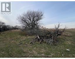 Lot 17 South Shore Road, Loyalist, ON K0H2S0 Photo 22