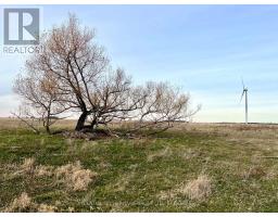 Lot 17 South Shore Road, Loyalist, ON K0H2S0 Photo 24