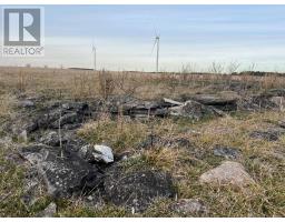 Lot 17 South Shore Road, Loyalist, ON K0H2S0 Photo 25