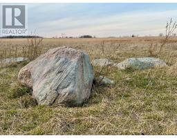 Lot 17 South Shore Road, Loyalist, ON K0H2S0 Photo 27