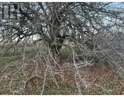 Lot 17 South Shore Road, Loyalist, ON K0H2S0 Photo 31