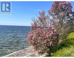 Lot 17 South Shore Road, Loyalist, ON K0H2S0 Photo 42