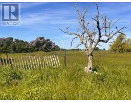 Lot 17 South Shore Road, Loyalist, ON K0H2S0 Photo 6