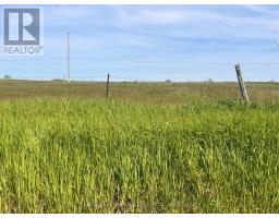 Lot 17 South Shore Road, Loyalist, ON K0H2S0 Photo 8