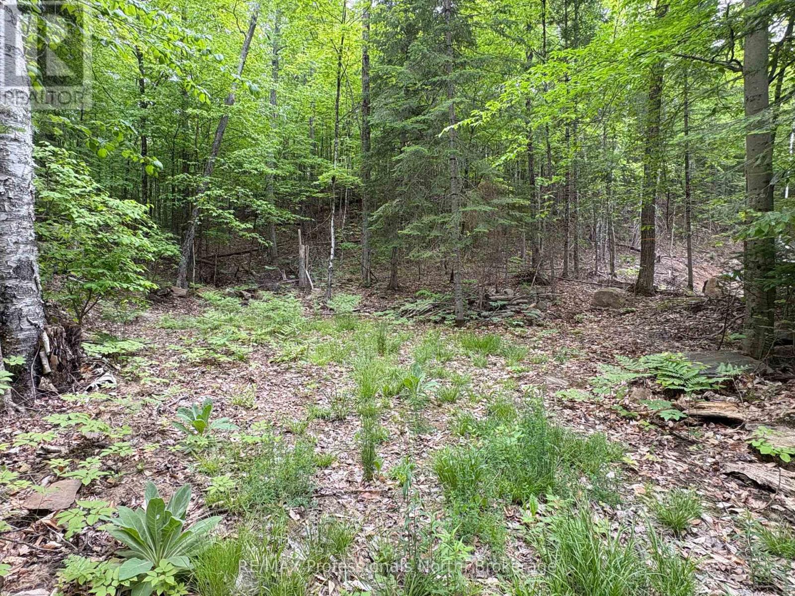 0 POVERTY BAY TRAIL