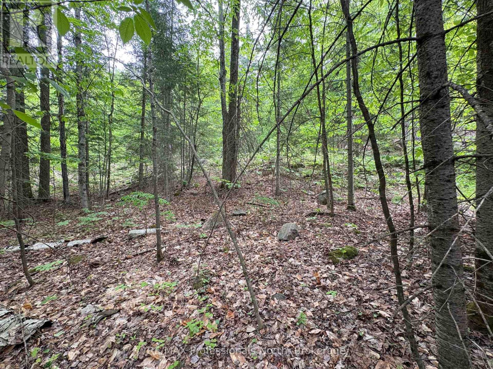 0 POVERTY BAY TRAIL