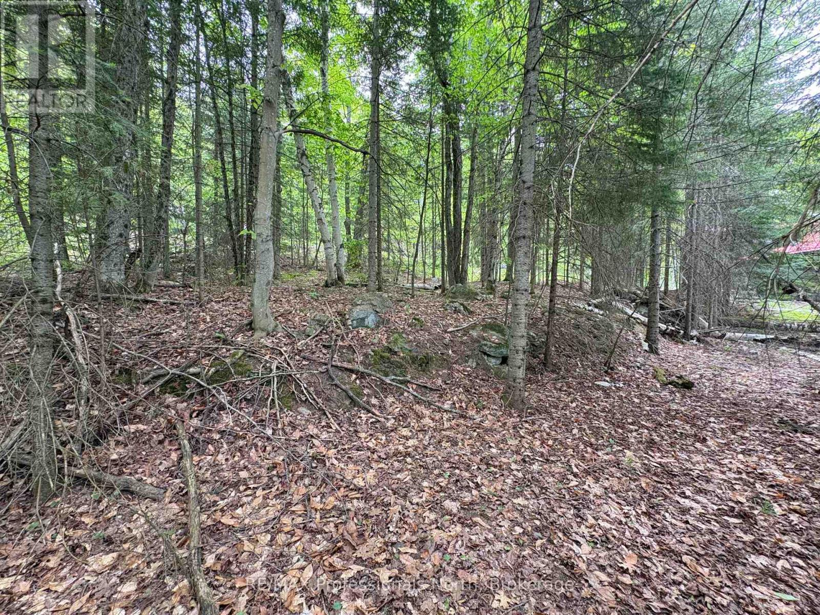 0 POVERTY BAY TRAIL