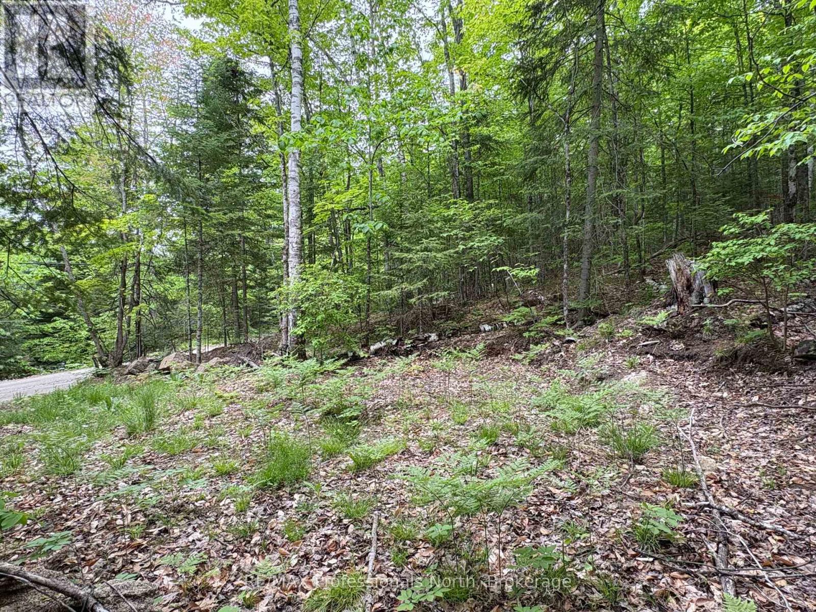 0 POVERTY BAY TRAIL