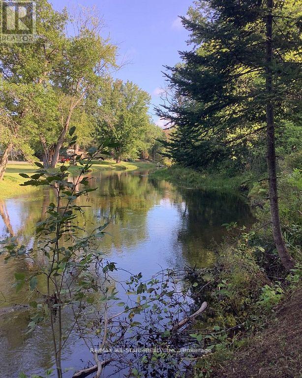 161 MCFADDEN ROAD - 19