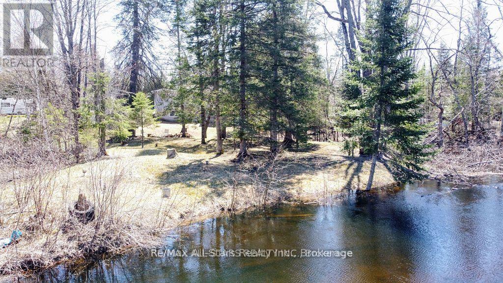 161 MCFADDEN ROAD - 17