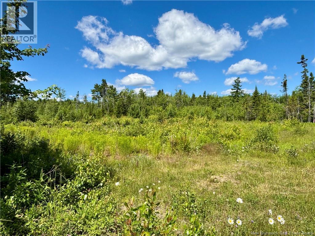 2.24 acres Mcleod Street, Neguac — photo 2