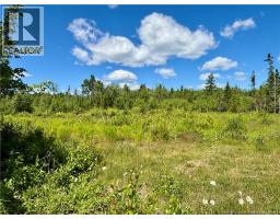 2.24 acres Mcleod Street, photo 2