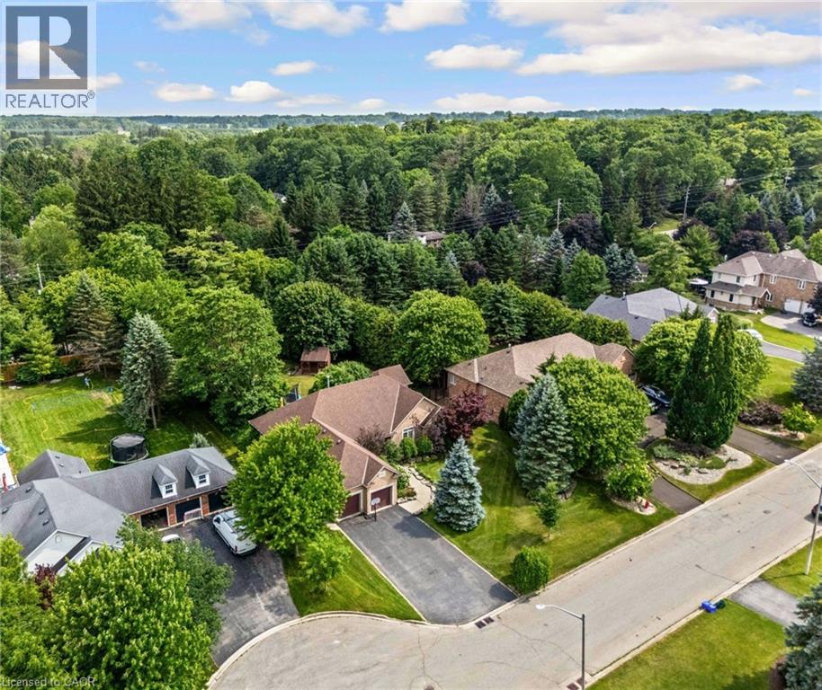 3 APPALOOSA Trail - Image 8