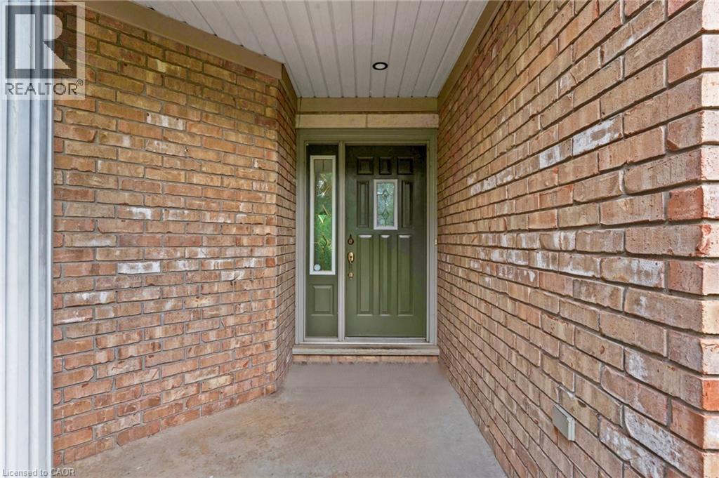 3 APPALOOSA Trail - Image 3