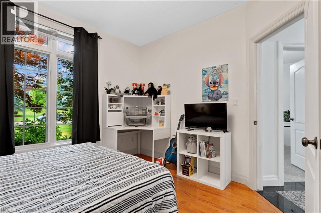 3 APPALOOSA Trail - Image 30