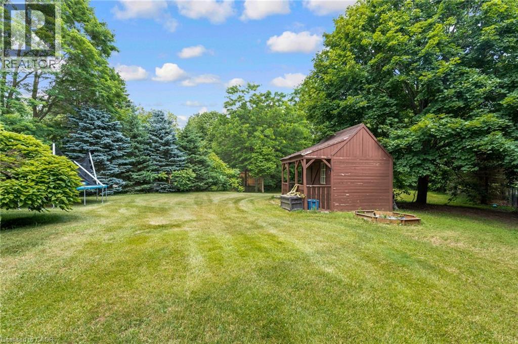 3 APPALOOSA Trail - Image 5