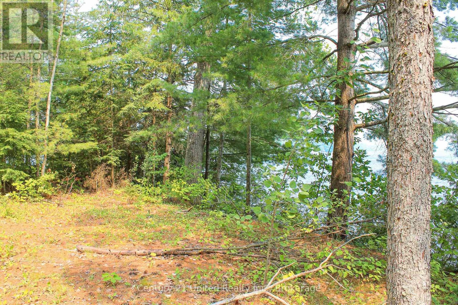 47 MCKEE AVENUE - 6