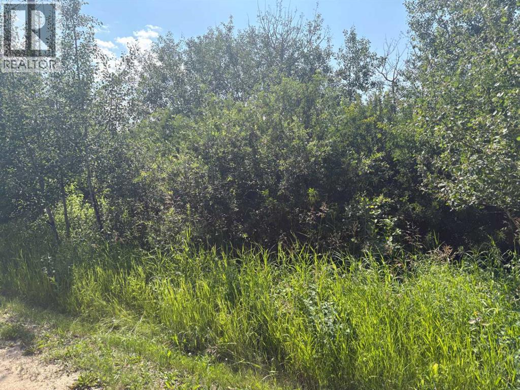 50528 Range Road Range Rd - Photo 5