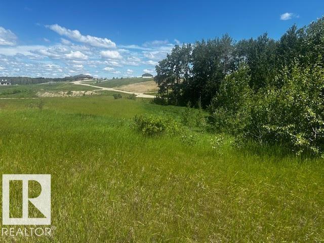 2 1118 TWP RD 534 - Photo 5