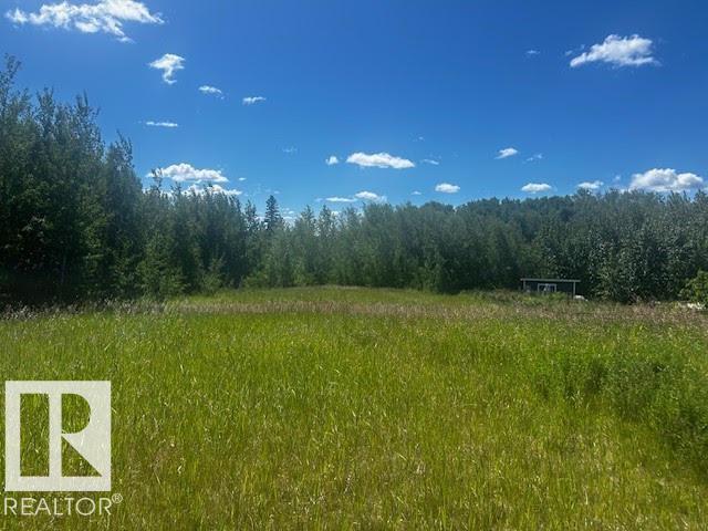 2 1118 TWP RD 534 - Photo 7