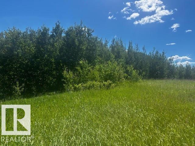 2 1118 TWP RD 534 - Photo 6
