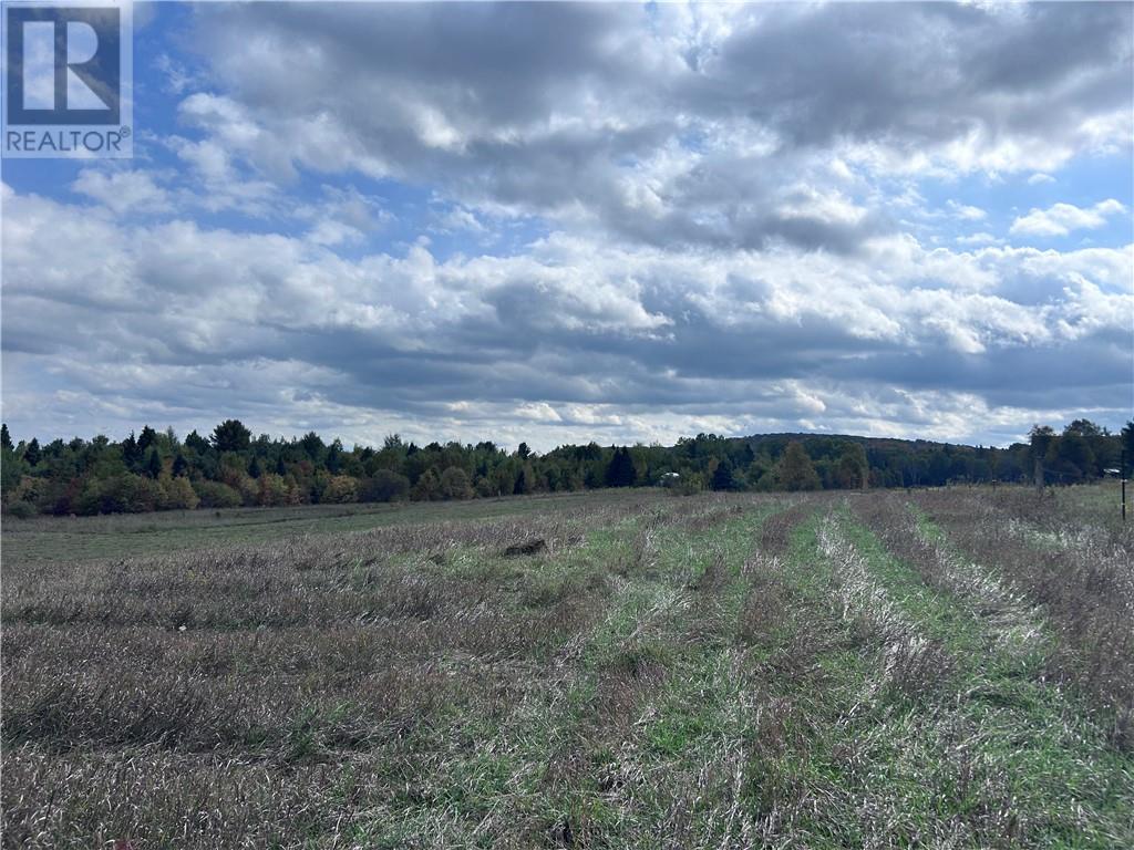 465 MALLARD LAKE Drive, Bancroft — photo 2