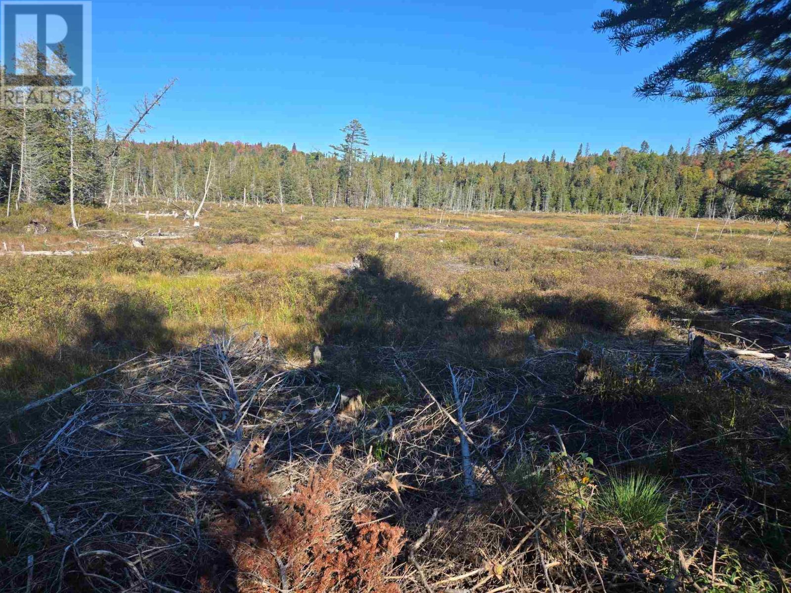 Miron Lease Spruce Lake - 19