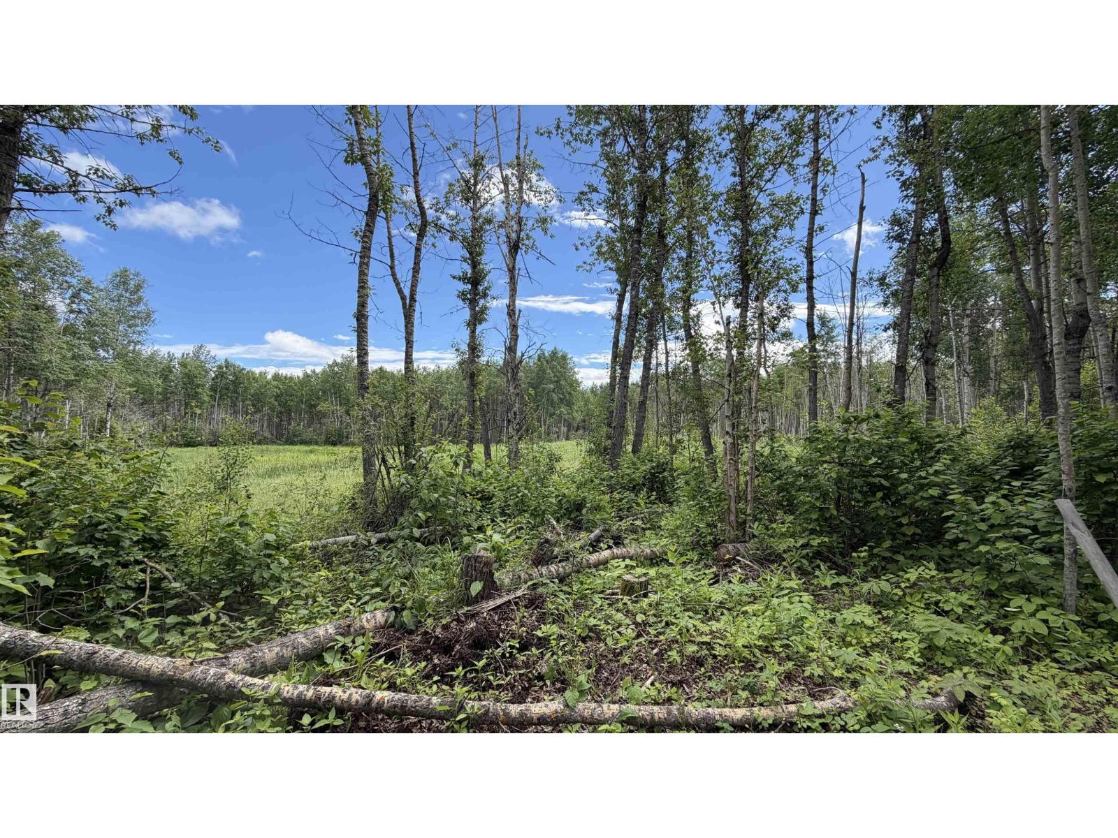 37 Aspen Road - Photo 10
