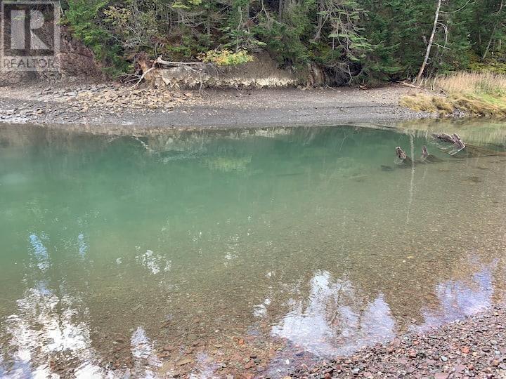 146 Pinky Creek Road - 50