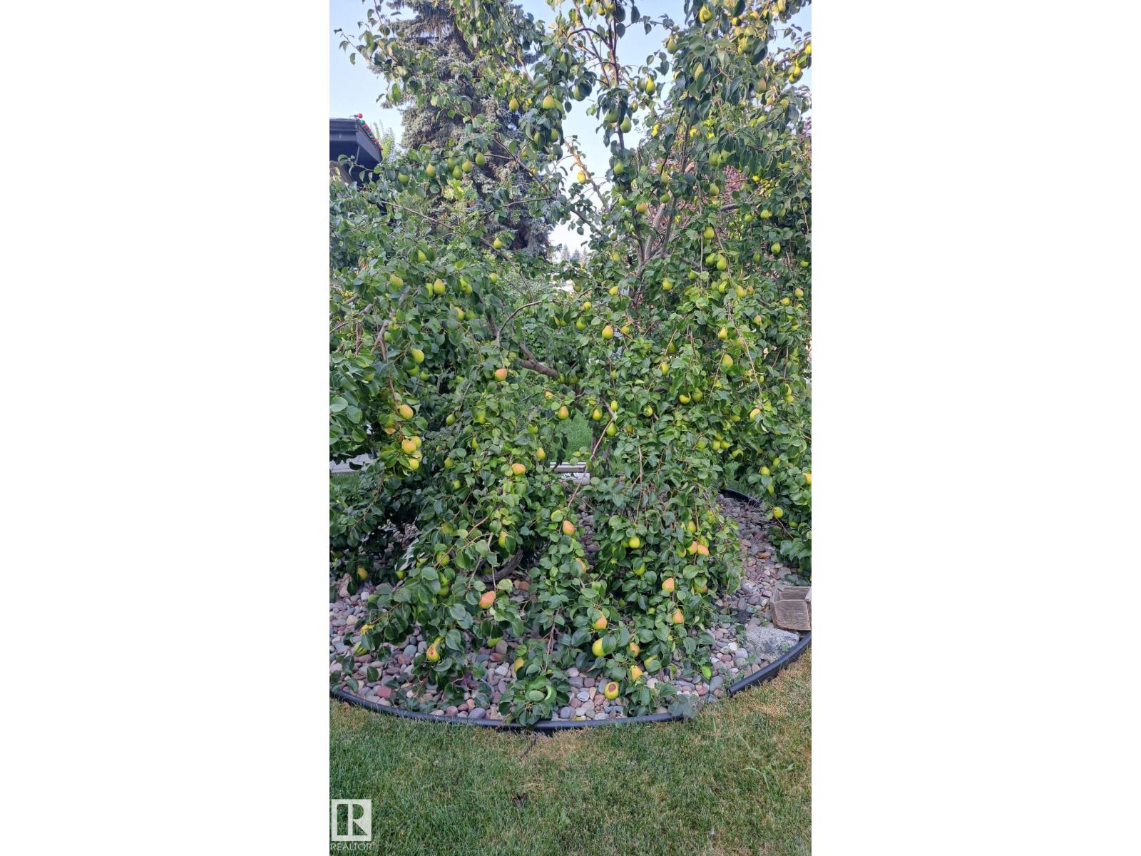 9528 54 ST NW - 13