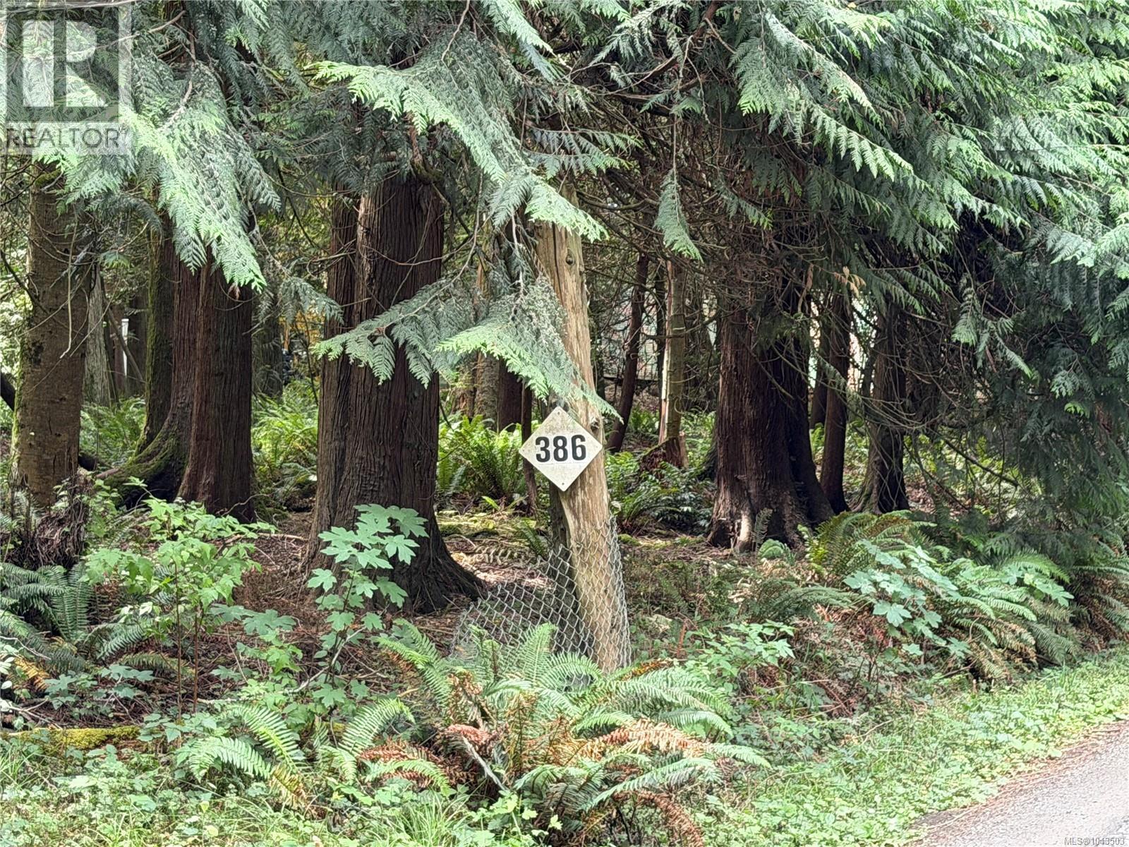 380 Parker Rd - 33