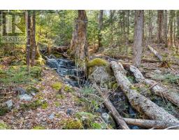 Lot 7 Stamping Mill Lane, Beech Hill, NS B0J1K0 Photo 17