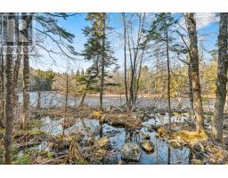Lot 7 Stamping Mill Lane, Beech Hill, NS B0J1K0 Photo 18
