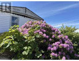 3pc Bathroom - 3303 Highway 217, Tiverton, NS B0V1G0 Photo 6