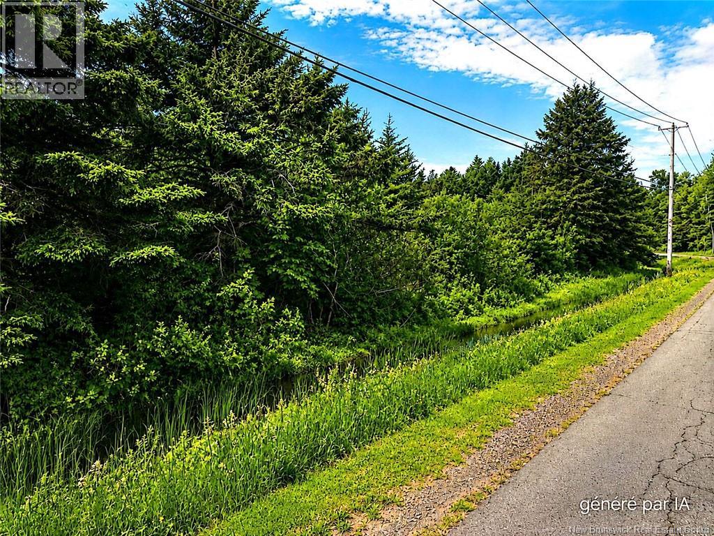 2.2 acres ch Dignard, Tracadie — photo 2