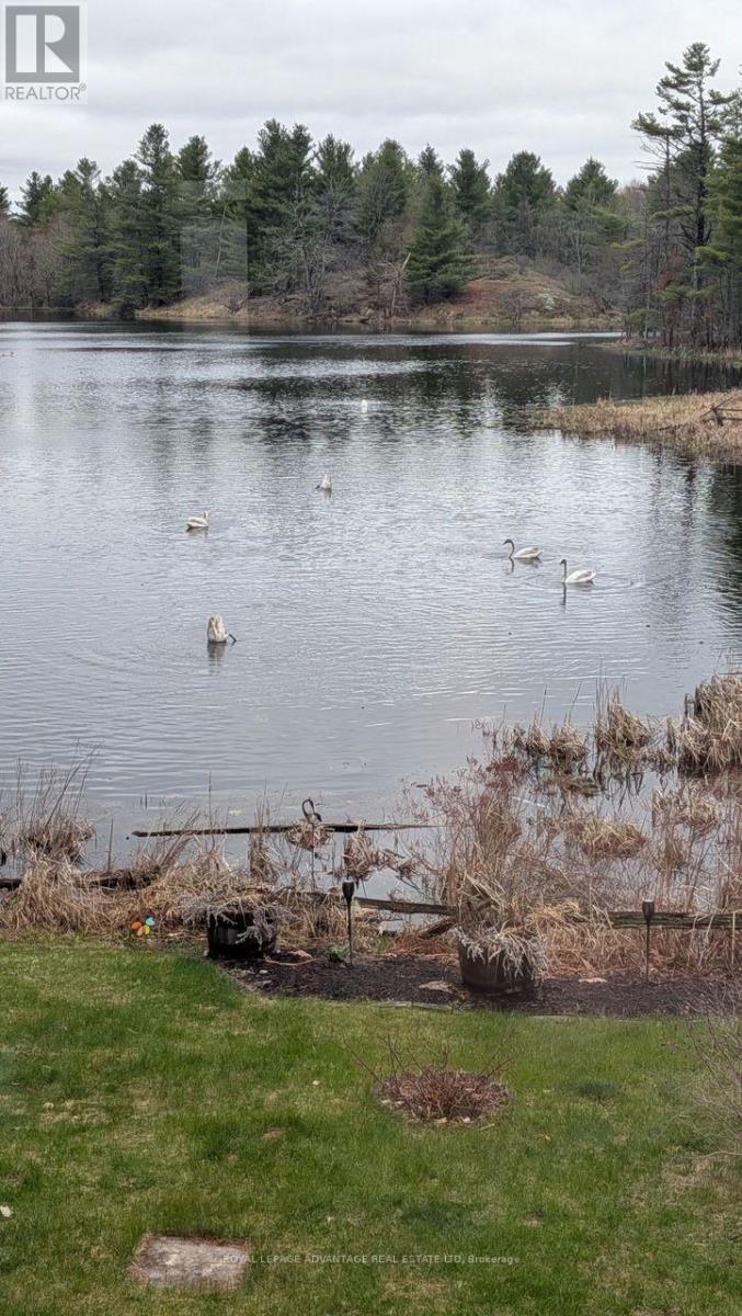 1462 ELM GROVE RD RR 5 ROAD - 45