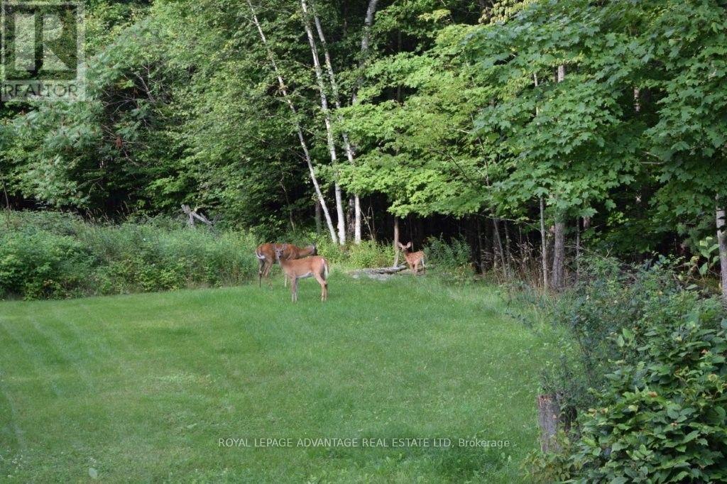 1462 ELM GROVE RD RR 5 ROAD - 46