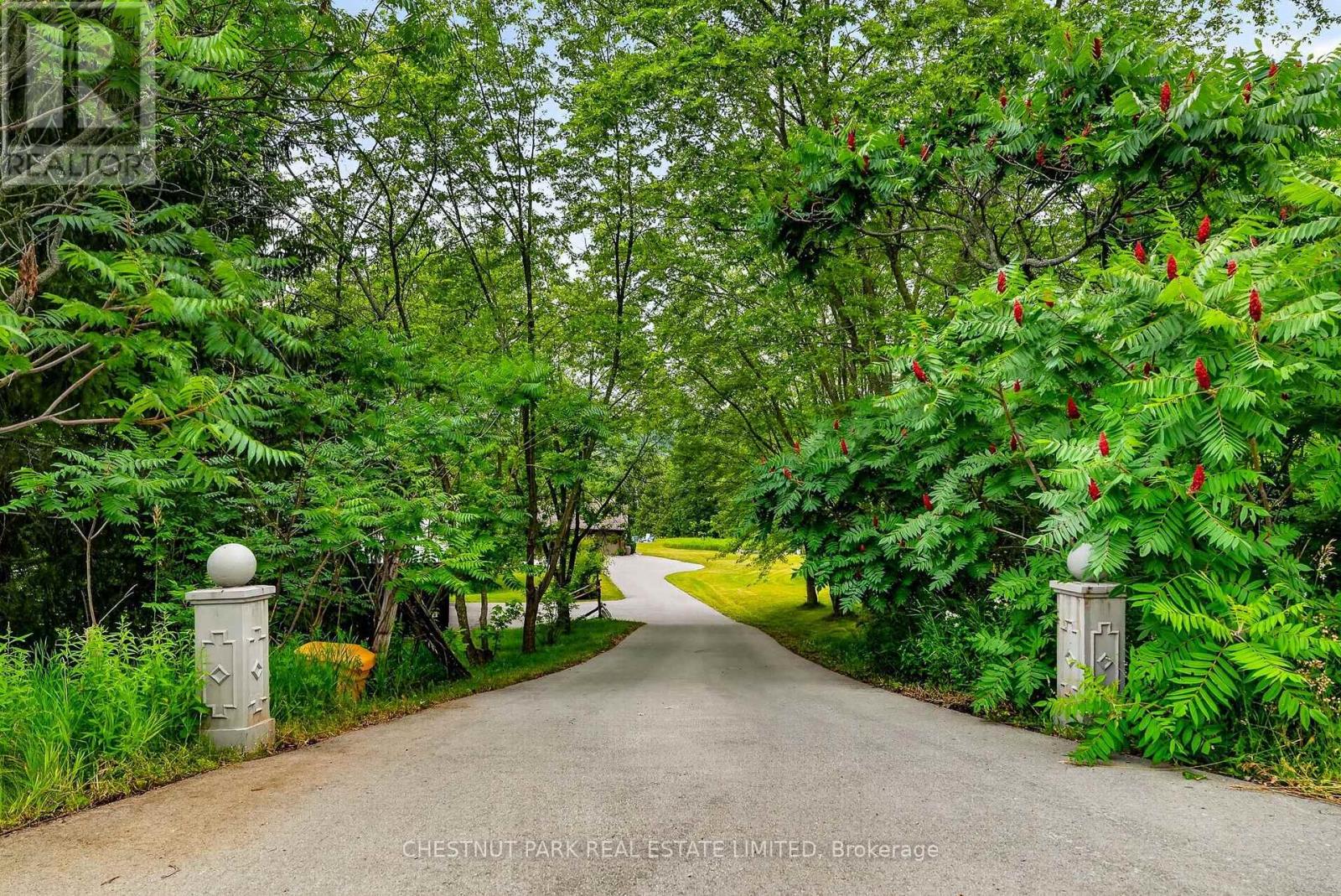 268 COUNTY RD 26 ROAD - 4