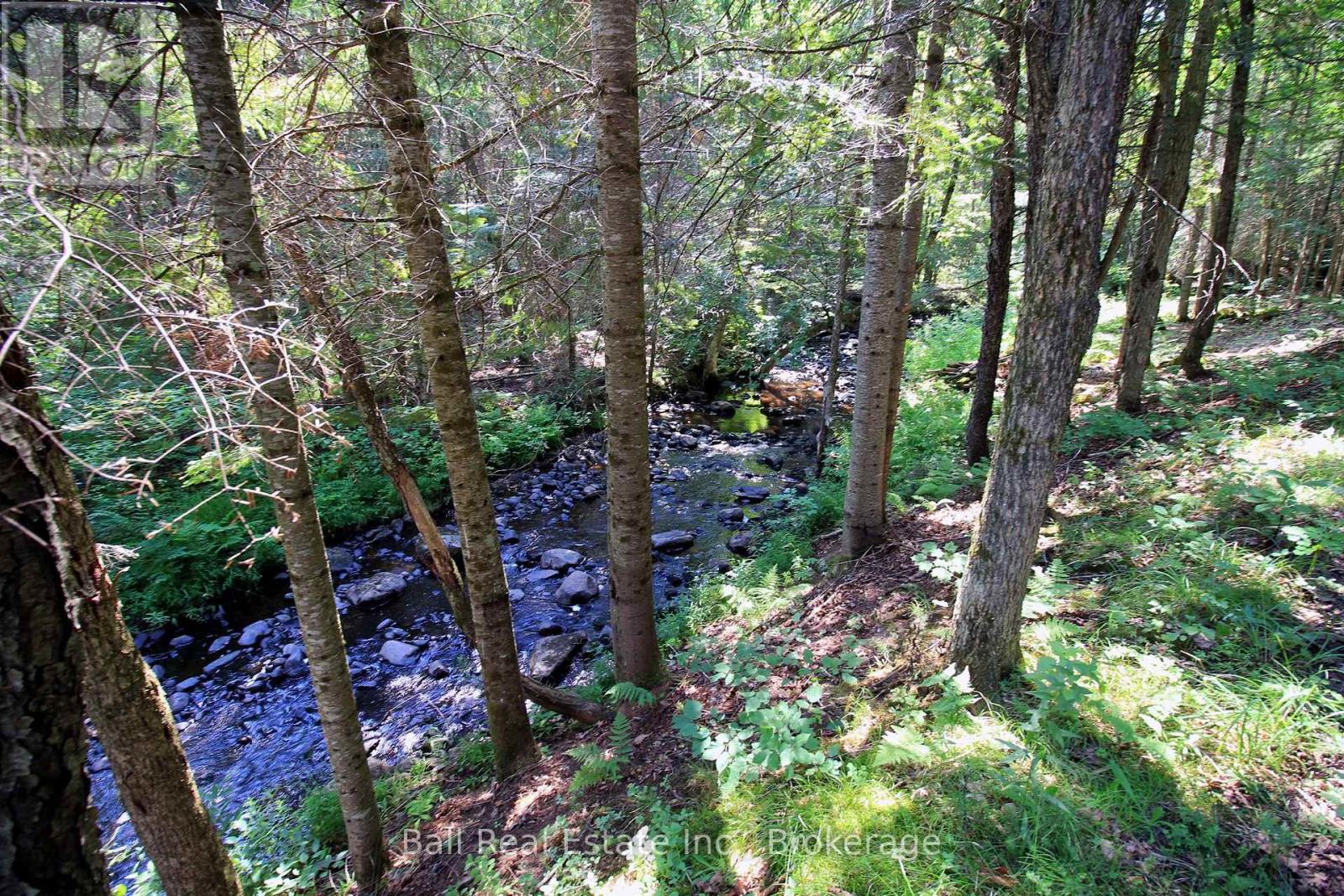 5472 LOOP ROAD - 44