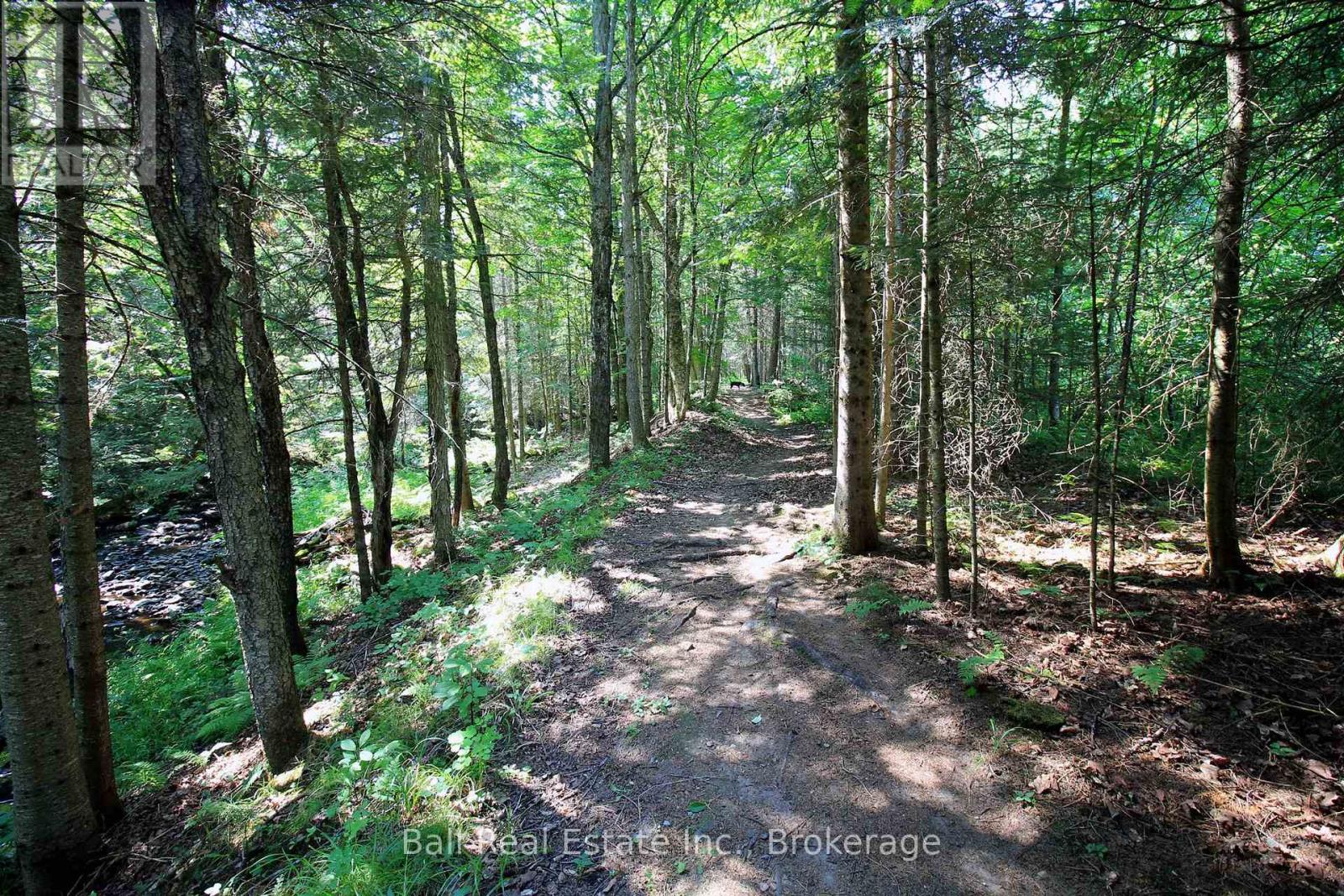 5472 LOOP ROAD - 45