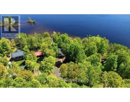 919 Cook Road, Marmora And Lake, ON K0K2M0 Photo 48