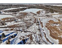 449 Jennifer Heil Wy, Spruce Grove, AB T7X0A3 Photo 66