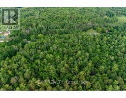 00 Mine View Road, Whitewater Region, ON K0J1Y0 Photo 14